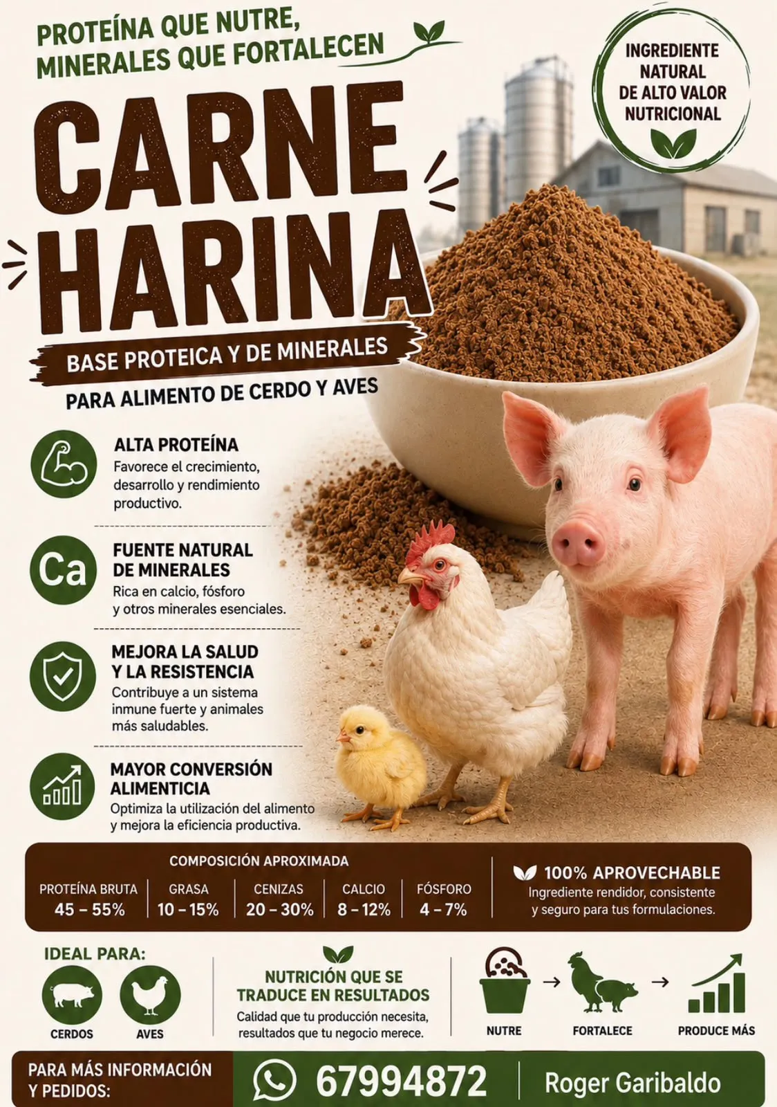 Carne Harina. Base proteica y de minerales