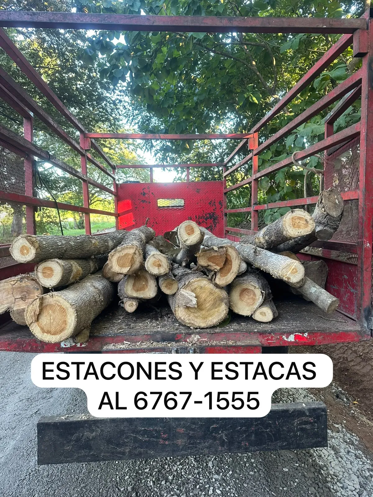 Estacones o estacas