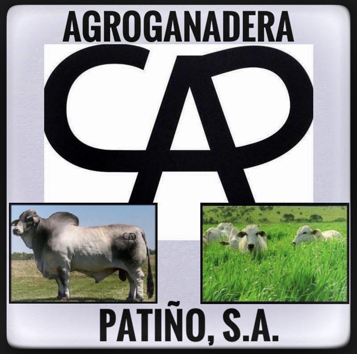 AGROGANADERA PATIÑO