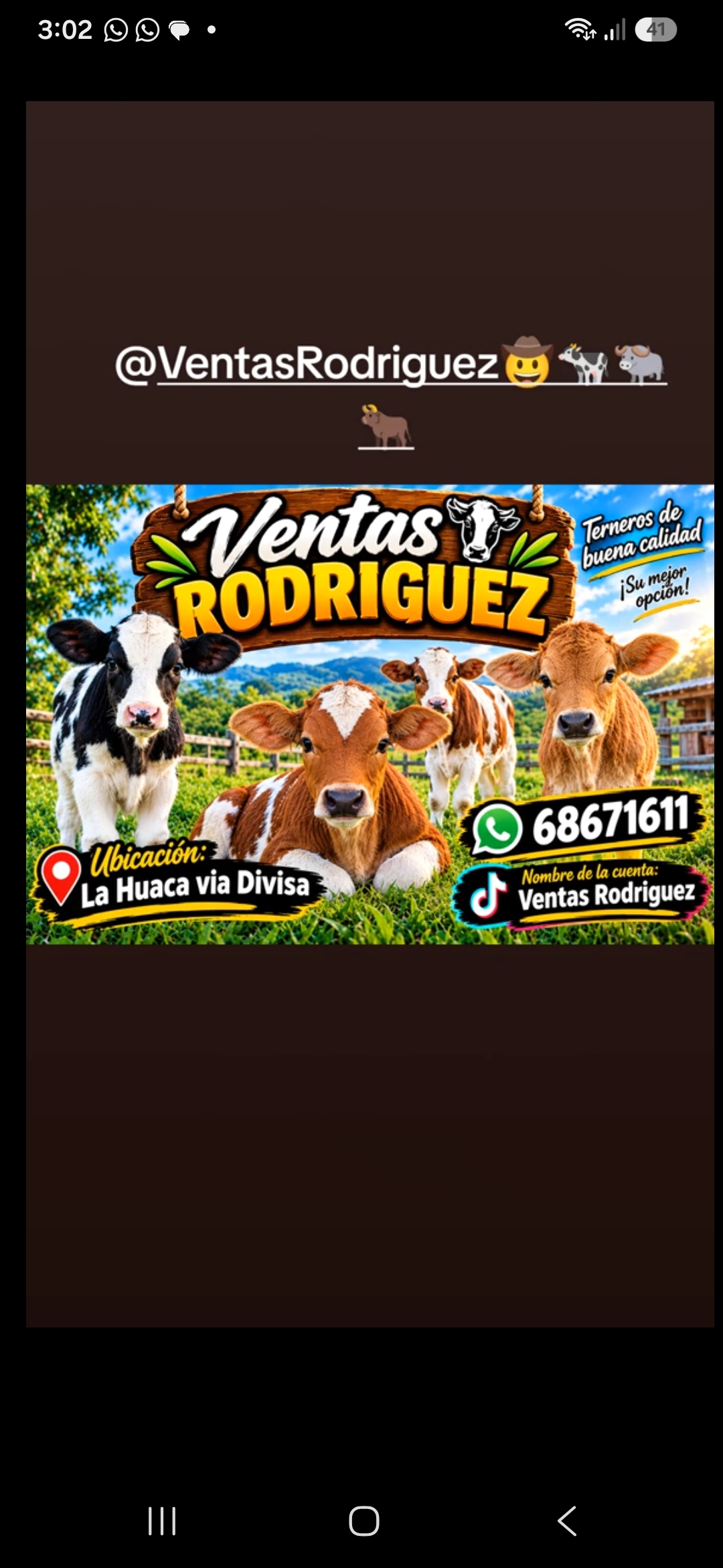 Ventas Rodriguez